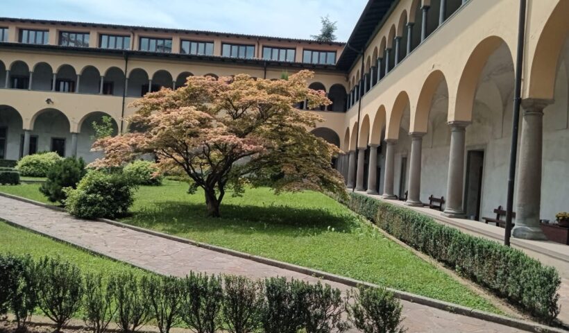 imagen de whatsapp 2025 09 19 a las 09.13.53 cc781f79