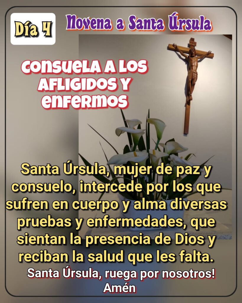 whatsapp image 2025 10 12 at 20.00.12